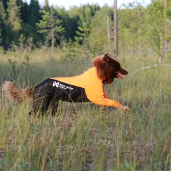 Non-stop dogwear Koiran Haalarit|Koiran Vaatteet*Protector puku, urosmalli