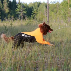 Non-stop dogwear Koiran Haalarit|Koiran Vaatteet*Protector puku, narttumalli