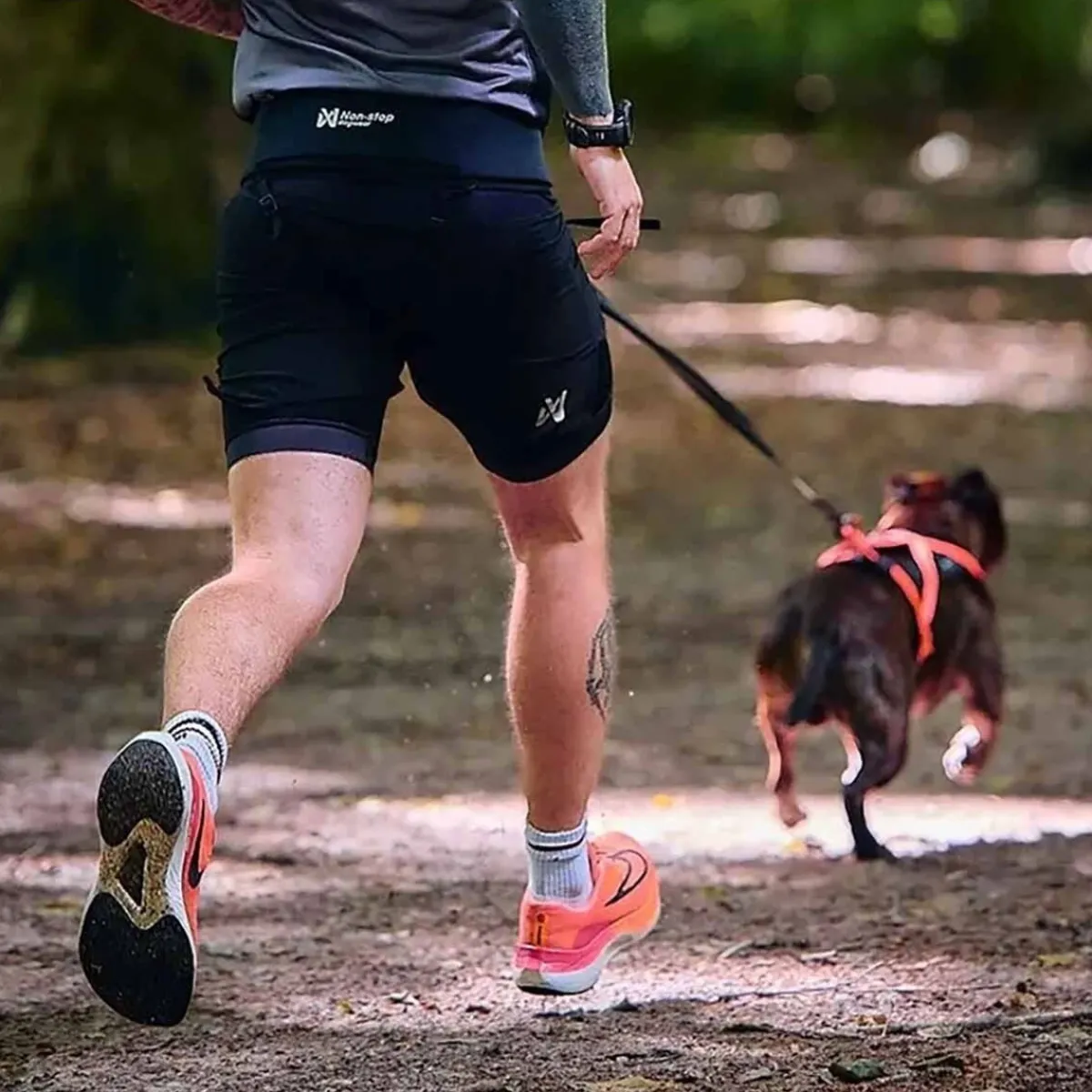 Non-stop dogwear Koiran Hihnat Ja Flexit|Retkeily Koiran Kanssa*Rush -talutusvyö