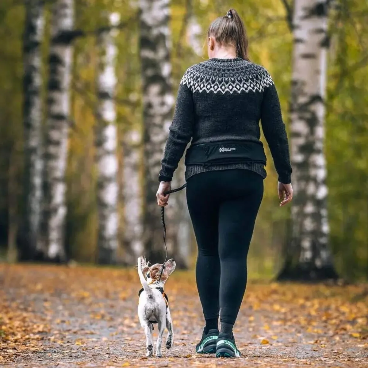 Non-stop dogwear Koiran Hihnat Ja Flexit|Retkeily Koiran Kanssa*Rush -talutusvyö