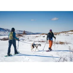 Non-stop dogwear Koiran Hihnat Ja Flexit|Retkeily Koiran Kanssa*Non-Stop Ferd vetovyö