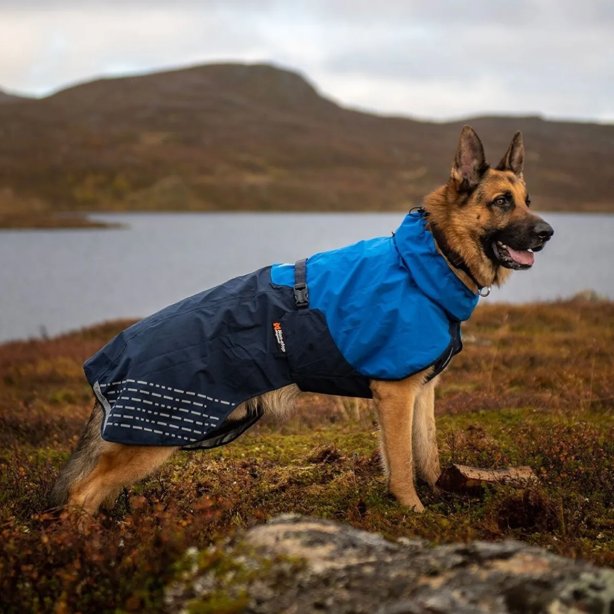 Non-stop dogwear Koiran Takit|Koiran Vaatteet*Non-Stop Fjord koiran sadetakki, sininen