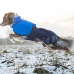 Non-stop dogwear Koiran Takit|Koiran Vaatteet*Non-Stop Fjord koiran sadetakki, sininen