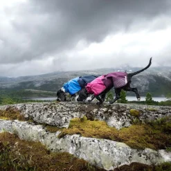 Non-stop dogwear Koiran Takit|Koiran Vaatteet*Non-Stop Fjord koiran sadetakki, violetti