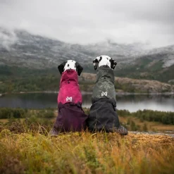 Non-stop dogwear Koiran Takit|Koiran Vaatteet*Non-Stop Fjord koiran sadetakki, violetti