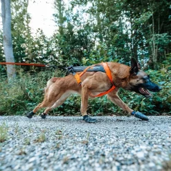 Non-stop dogwear Koiran Valjaat|Retkeily Koiran Kanssa*Non-Stop Freemotion valjaat 5.0 musta/oranssi