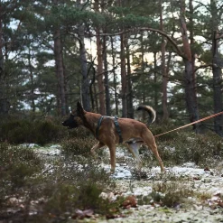 Non-stop dogwear Jälkiliinat|Metsästys Ja Jäljestys*Non-Stop Friction long line jälkiliina, oranssi
