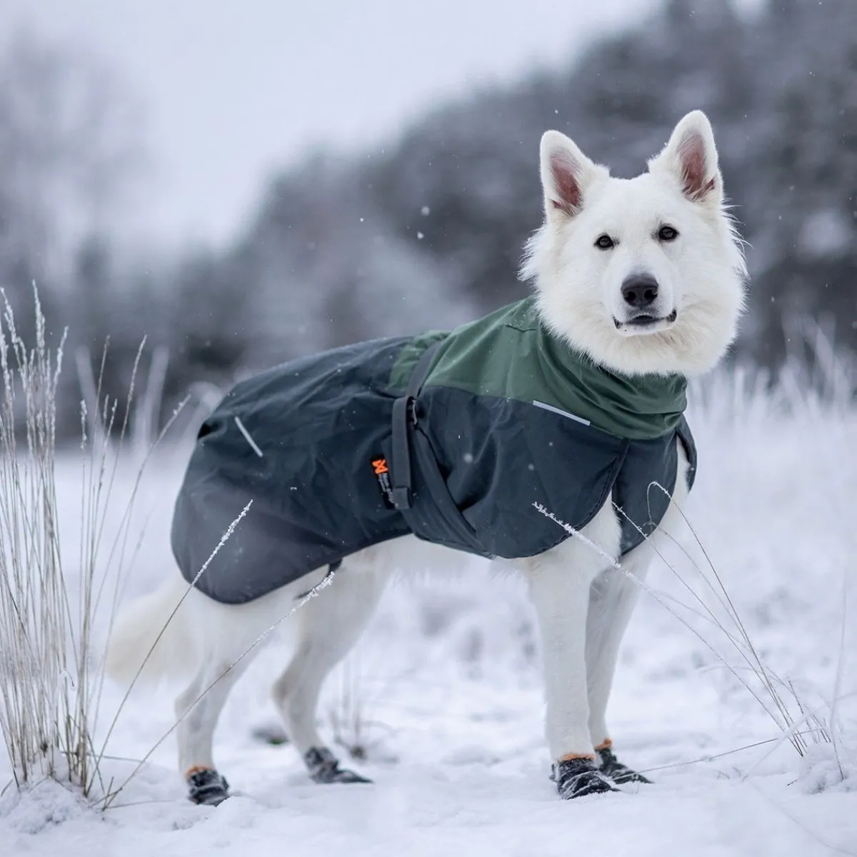 Non-stop dogwear Koiran Vaatteet|Koiran Talvitakit*Non-Stop Glacier wool 2.0 talvitakki, vihreä/harmaa