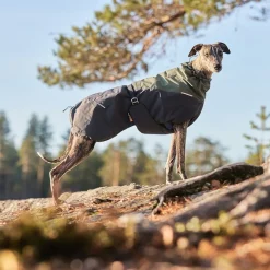 Non-stop dogwear Koiran Vaatteet|Koiran Talvitakit*Non-Stop Glacier wool 2.0 talvitakki, vihreä/harmaa