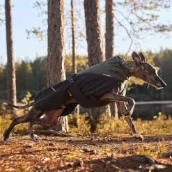 Non-stop dogwear Koiran Vaatteet|Koiran Talvitakit*Non-Stop Glacier wool 2.0 talvitakki, vihreä/harmaa