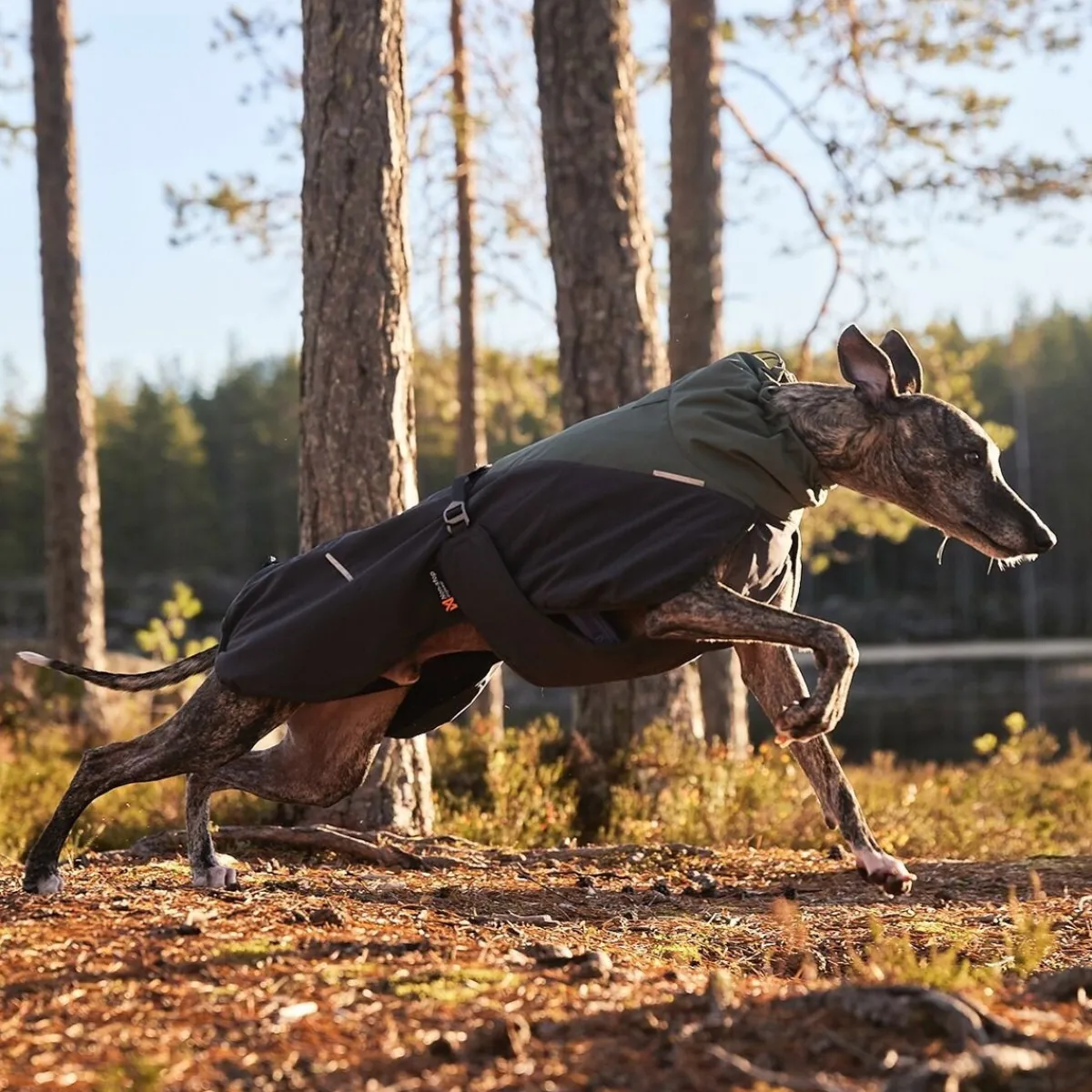 Non-stop dogwear Koiran Vaatteet|Koiran Talvitakit*Non-Stop Glacier wool 2.0 talvitakki, vihreä/harmaa