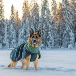 Non-stop dogwear Koiran Vaatteet|Koiran Talvitakit*Non-Stop Glacier wool 2.0 talvitakki, vihreä/harmaa