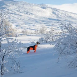 Non-stop dogwear Koiran Haalarit|Koiran Vaatteet*Non-Stop Protector Snow haalari, narttumalli