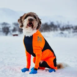 Non-stop dogwear Koiran Haalarit|Koiran Vaatteet*Non-Stop Protector Snow haalari, urosmalli