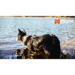 Non-stop dogwear Koiran Valjaat*Non-Stop Rock -koiran valjaat, musta/oranssi