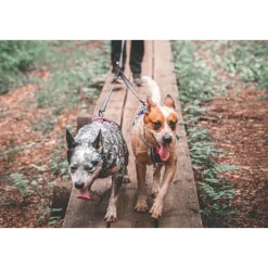 Non-stop dogwear Koiran Hihnat Ja Flexit*Non-Stop Touring Double Y-jakaja