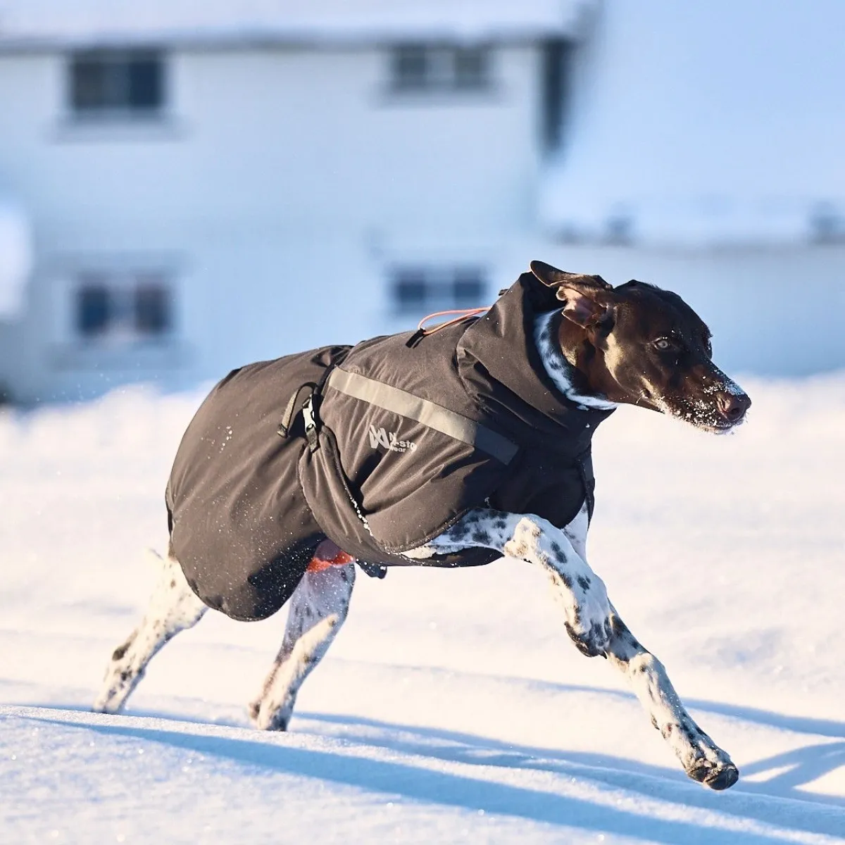 Non-stop dogwear Koiran Vaatteet|Koiran Talvitakit*Non-Stop Trekking koiran talvitakki, musta
