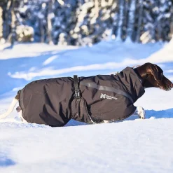 Non-stop dogwear Koiran Vaatteet|Koiran Talvitakit*Non-Stop Trekking koiran talvitakki, musta