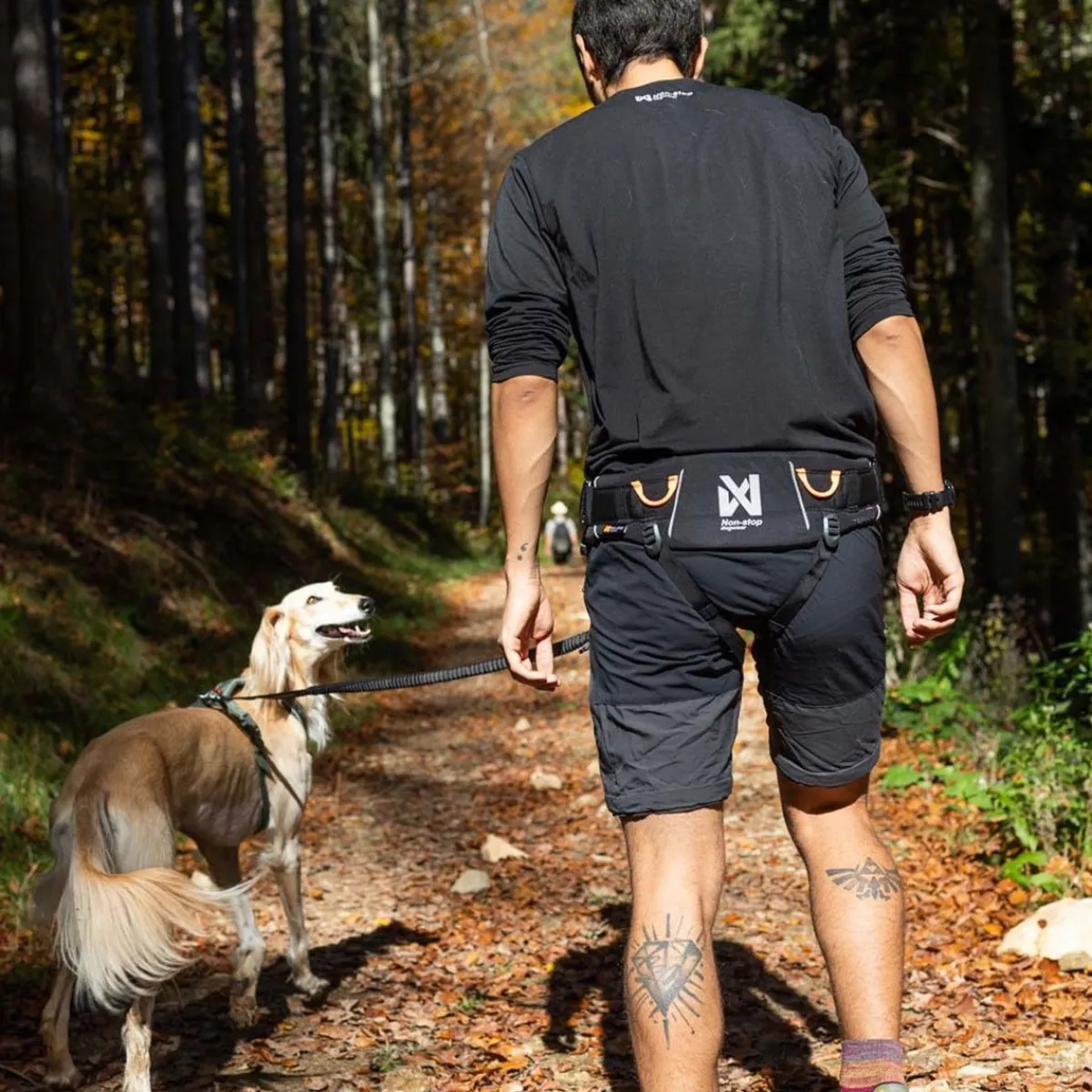 Non-stop dogwear Koiran Hihnat Ja Flexit|Retkeily Koiran Kanssa*Non-Stop Trekking vetovyö 2.0 musta/harmaa