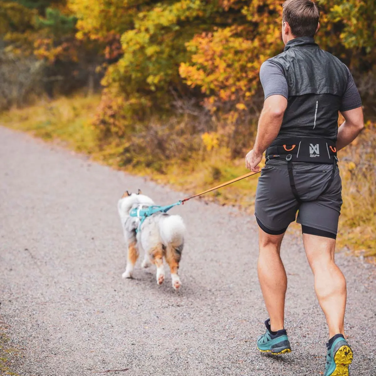 Non-stop dogwear Koiran Hihnat Ja Flexit|Retkeily Koiran Kanssa*Non-Stop Trekking vetovyö 2.0 musta/harmaa