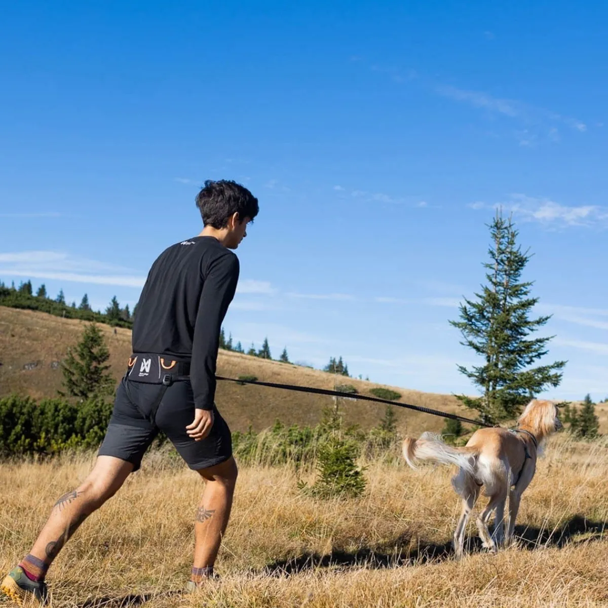 Non-stop dogwear Koiran Hihnat Ja Flexit|Retkeily Koiran Kanssa*Non-Stop Trekking vetovyö 2.0 musta/harmaa