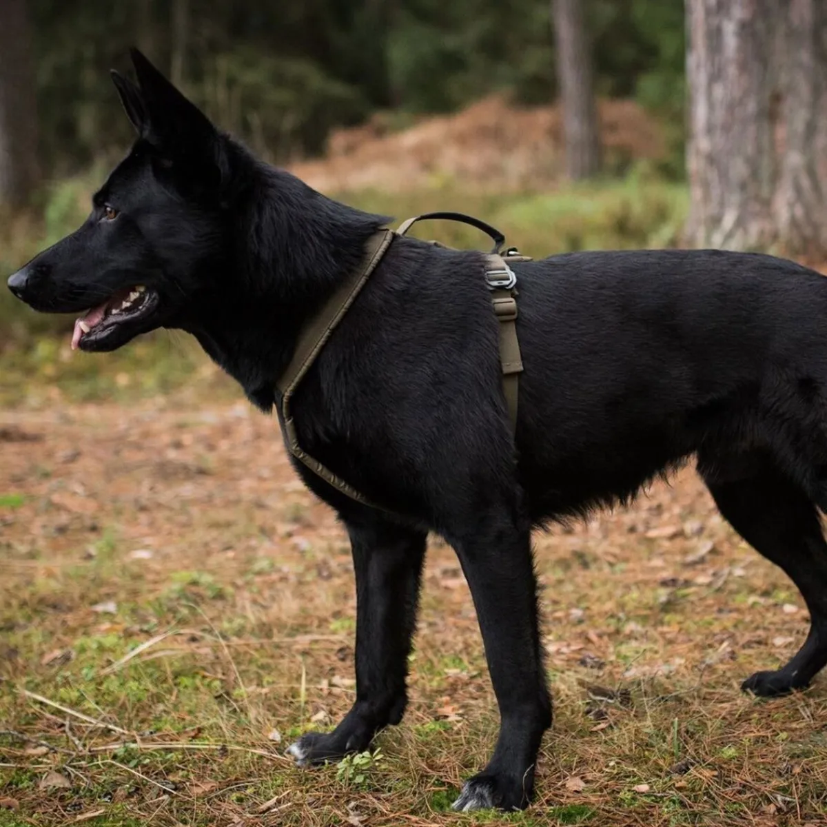 Non-stop dogwear Igp|Koiran Valjaat*Non-stop valjaat Line Grip Defense, vihreä