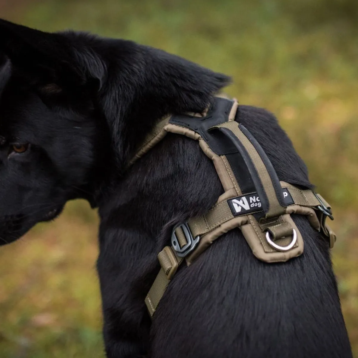 Non-stop dogwear Igp|Koiran Valjaat*Non-stop valjaat Line Grip Defense, vihreä