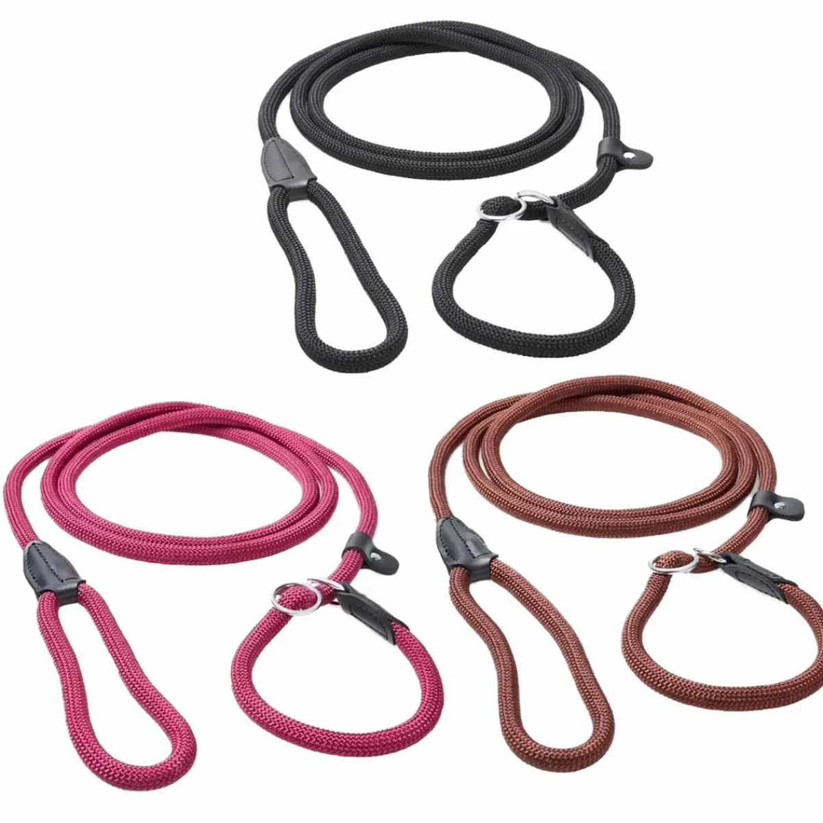 Basic Koiran Hihnat Ja Flexit*Noutajatalutin Retriever