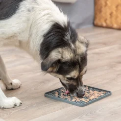 Trixie Koiranpennun Ruokailu|Aktivointikupit Ja Nuolumatot*Nuolumatto Lick'n'Snack, 20 cm