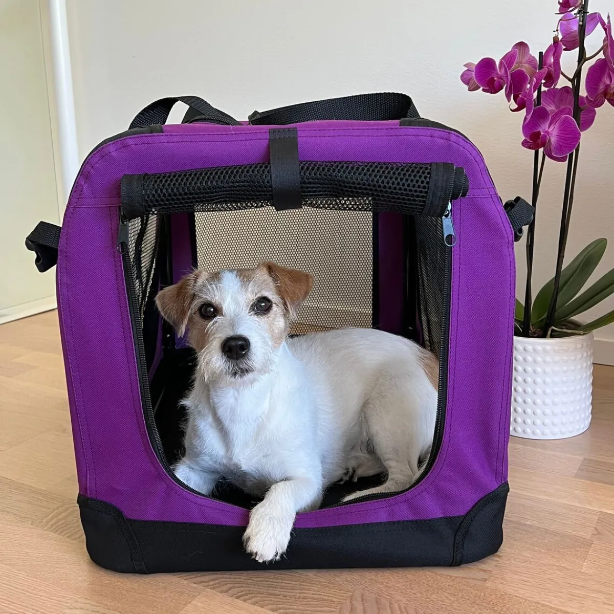PetEasy Häkit|Kevythäkit*Nylonhäkki , violetti