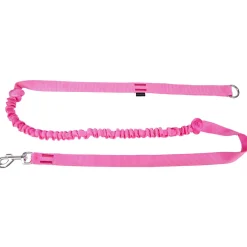 Pro Dog Koiran Hihnat Ja Flexit|Retkeily Koiran Kanssa*Nylontalutin ProDog Stretch Lime