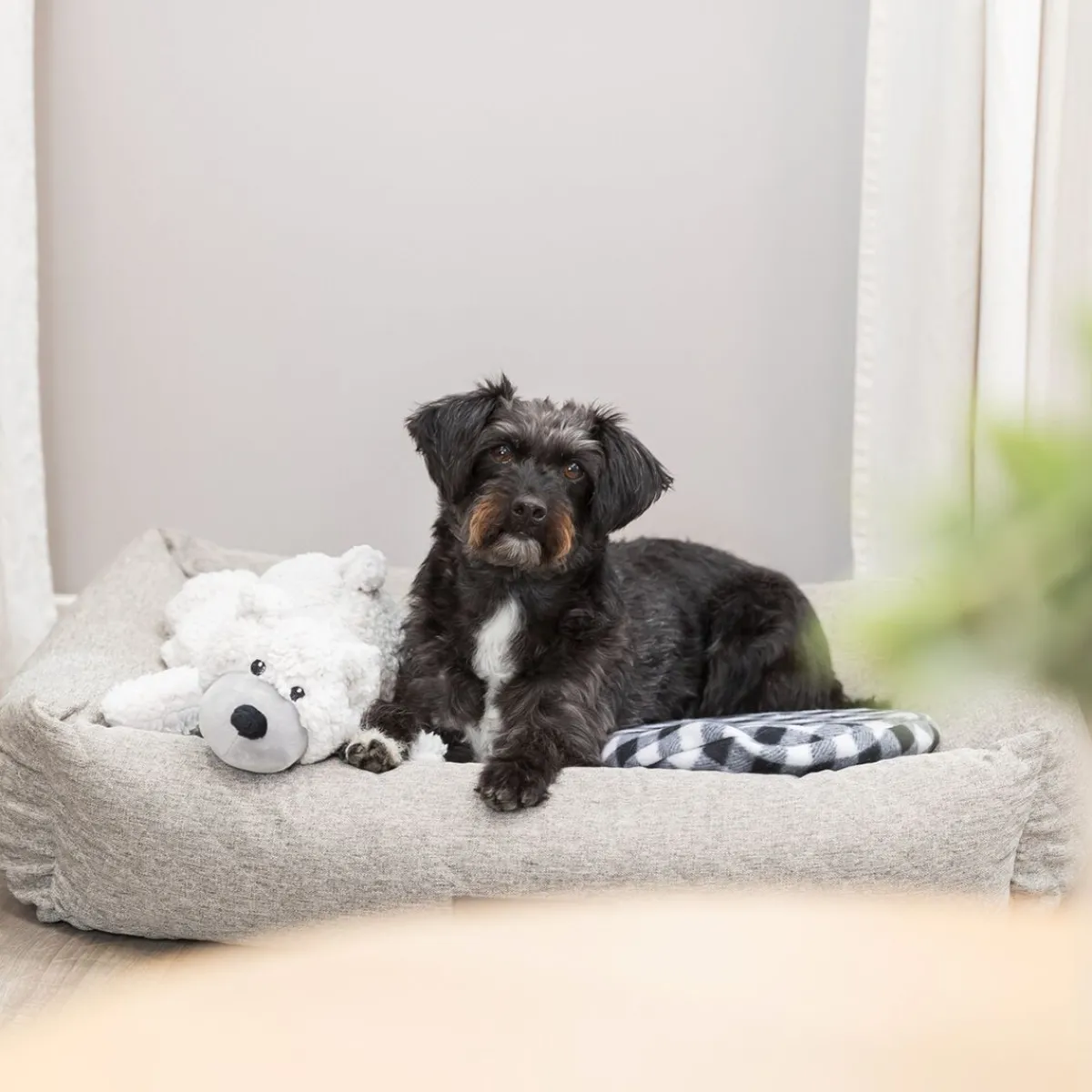 Trixie Ortopediset Pedit|Ortopediset Koiranpedit*Ortopedinen peti Noah