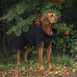 PAIKKA Koiran Vaatteet|Koiran Takit*Recovery Softshell-takki, musta