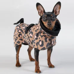 PAIKKA Koiran Heijastimet Ja Valot|Heijastavat Koiran Vaatteet*Visibility Raincoat Lite -koiran sadetakki, leo