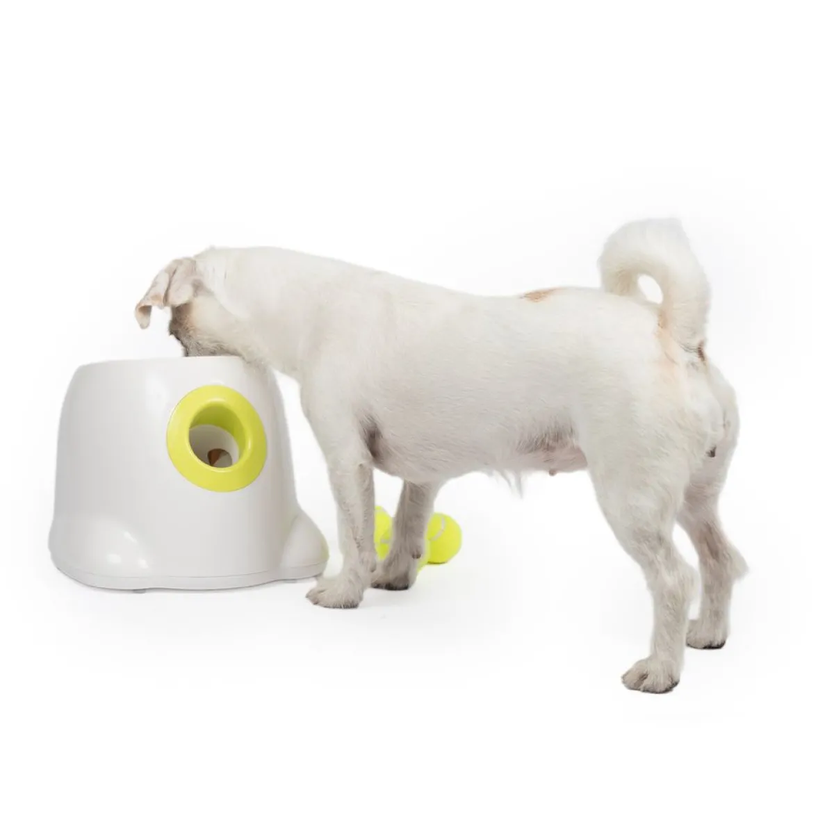 All For Paws Koiran Aktivointilelut Ja -Pelit*Pallonheittokone Hyper Fetch Mini