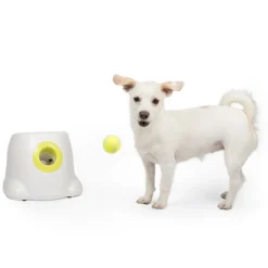 All For Paws Koiran Aktivointilelut Ja -Pelit*Pallonheittokone Hyper Fetch Mini