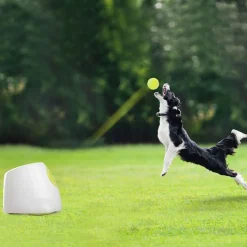 All For Paws Koiran Aktivointilelut Ja -Pelit*Pallotykki Hyper Fetch Maxi