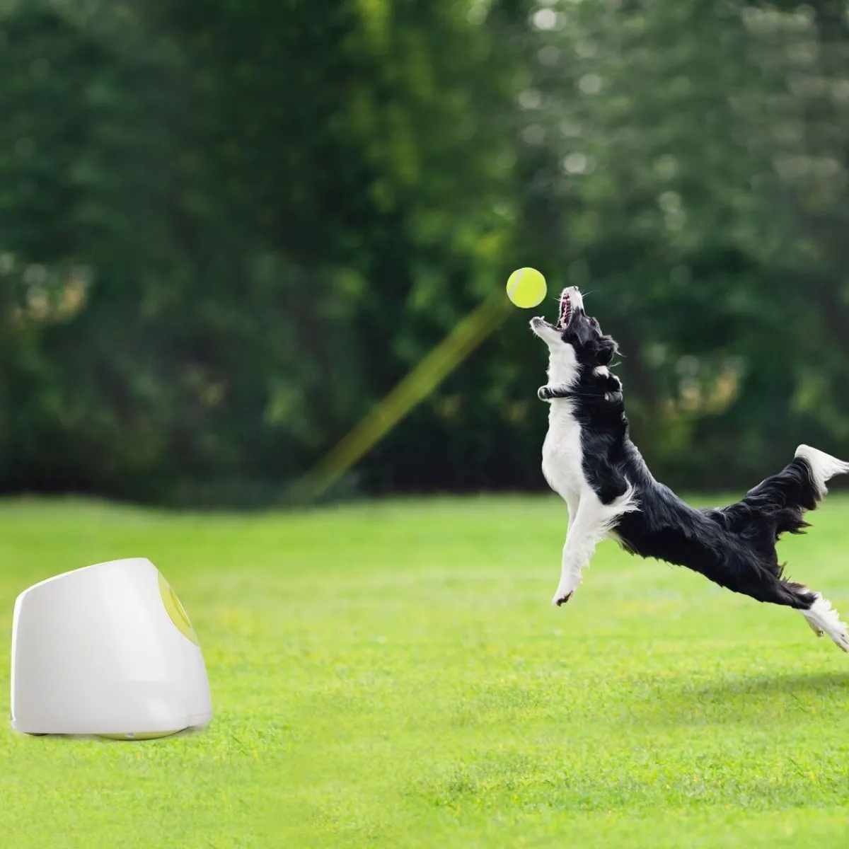 All For Paws Koiran Aktivointilelut Ja -Pelit*Pallotykki Hyper Fetch Maxi