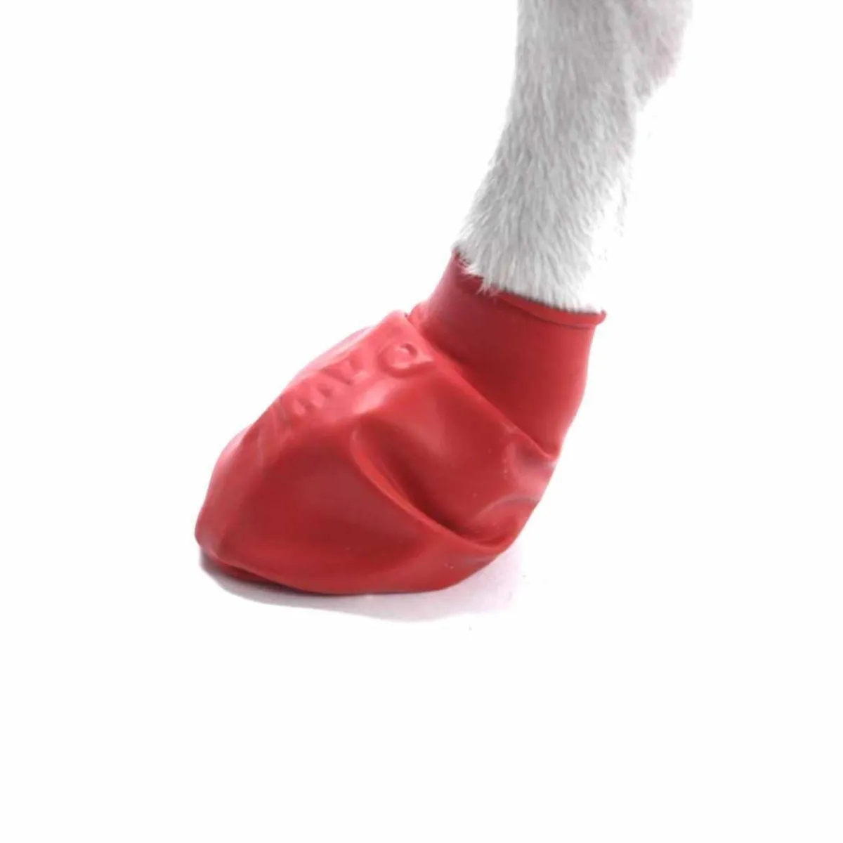 PawZ Koiran Vaatteet|Koiran Tossut*koiran suojatossut, 12 kpl