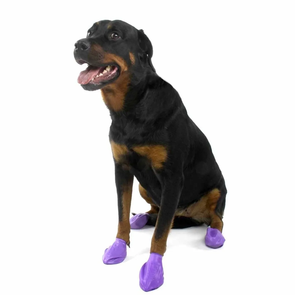 PawZ Koiran Vaatteet|Koiran Tossut*koiran suojatossut, 12 kpl