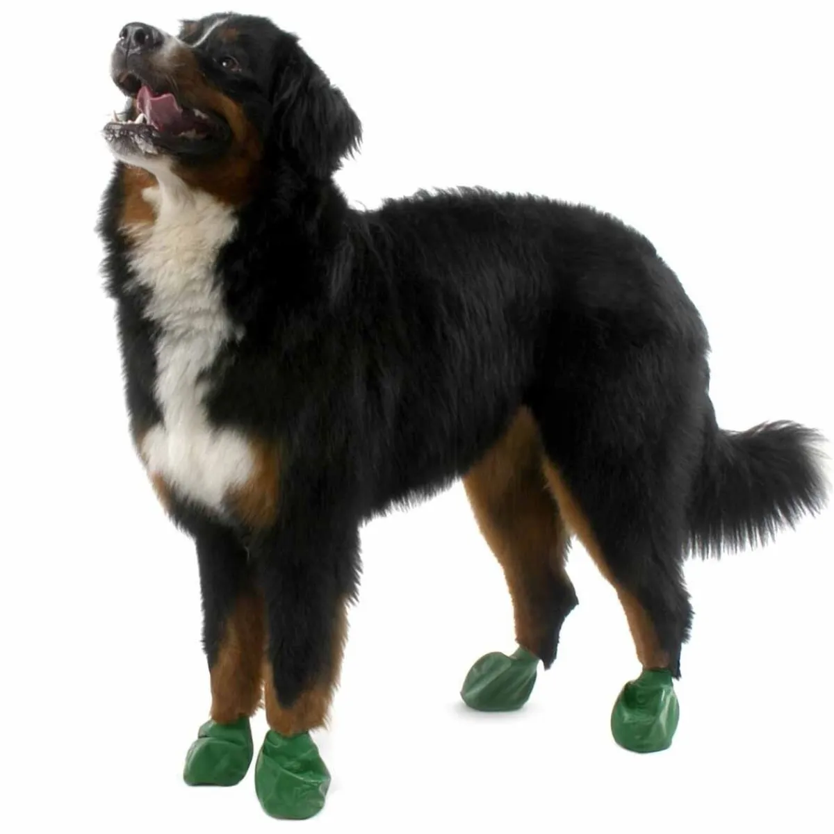 PawZ Koiran Vaatteet|Koiran Tossut*koiran suojatossut, 12 kpl