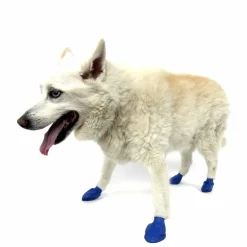 PawZ Koiran Vaatteet|Koiran Tossut*koiran suojatossut, 12 kpl