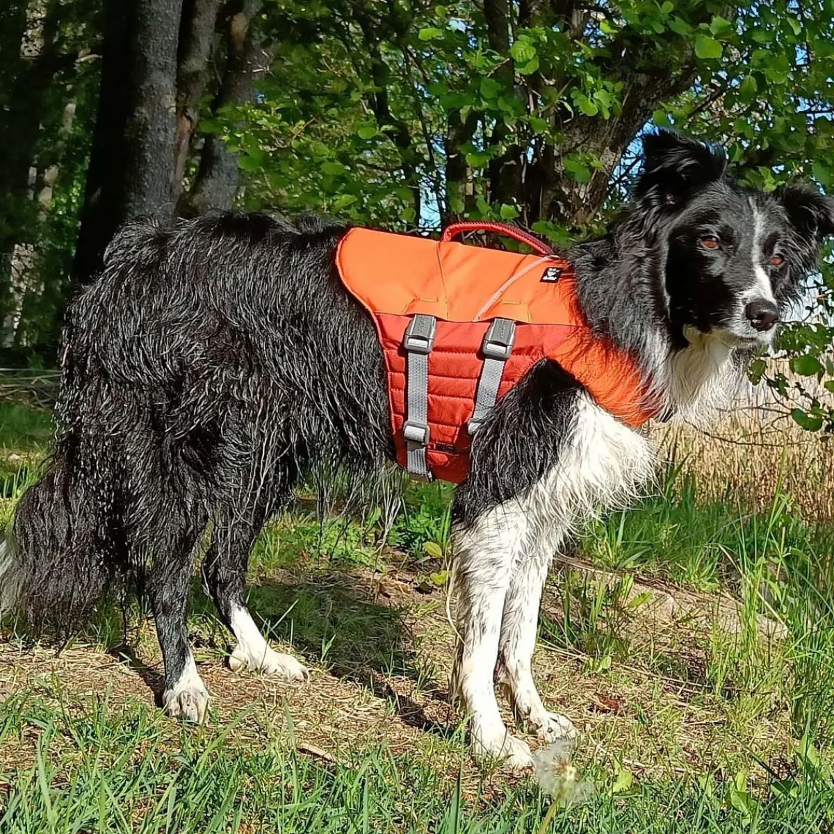 Hurtta Koiran Vaatteet|Pelastusliivit*Pelastusliivit Life Savior ECO, tyrni