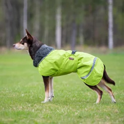 Pomppa Koiran Vaatteet|Koiran Talvitakit*Perus koiran takki, lime
