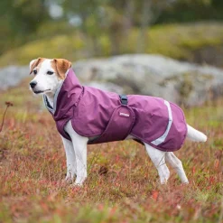 Pomppa Koiran Vaatteet|Koiran Sadetakki*Perus valjasaukolla, luumu