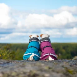Pomppa Koiran Vaatteet|Koiran Sadetakki*Perus valjasaukolla, luumu