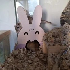 Duvoplus Pieneläinten Häkin Sisustus|Hamsterin Häkin Sisustus*Pesäkolo jyrsijälle Duvo+ pupu