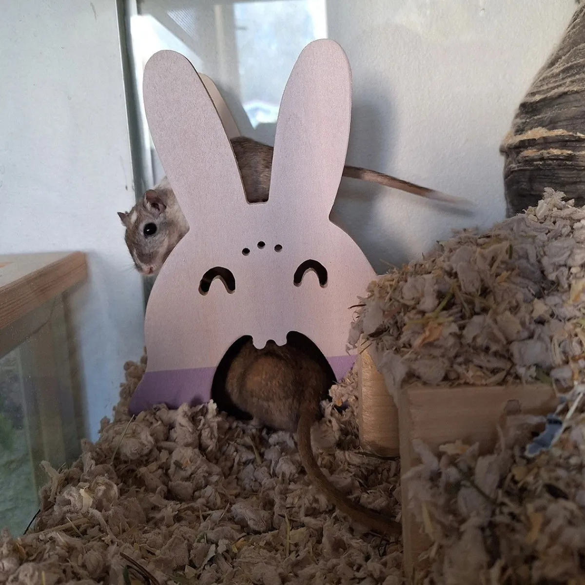 Duvoplus Pieneläinten Häkin Sisustus|Hamsterin Häkin Sisustus*Pesäkolo jyrsijälle Duvo+ pupu