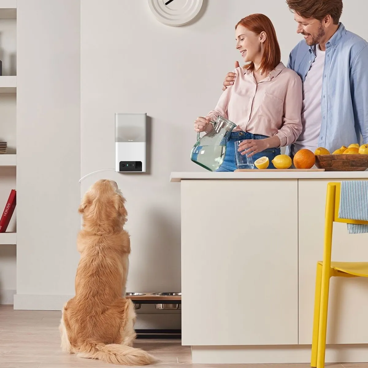 Petcube Koirakamerat|Lemmikkiteknologia*Bites 2 Lite -kamera