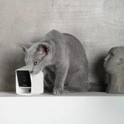 Petcube Koirakamerat|Lemmikkiteknologia*Cam lemmikkikamera kotiin